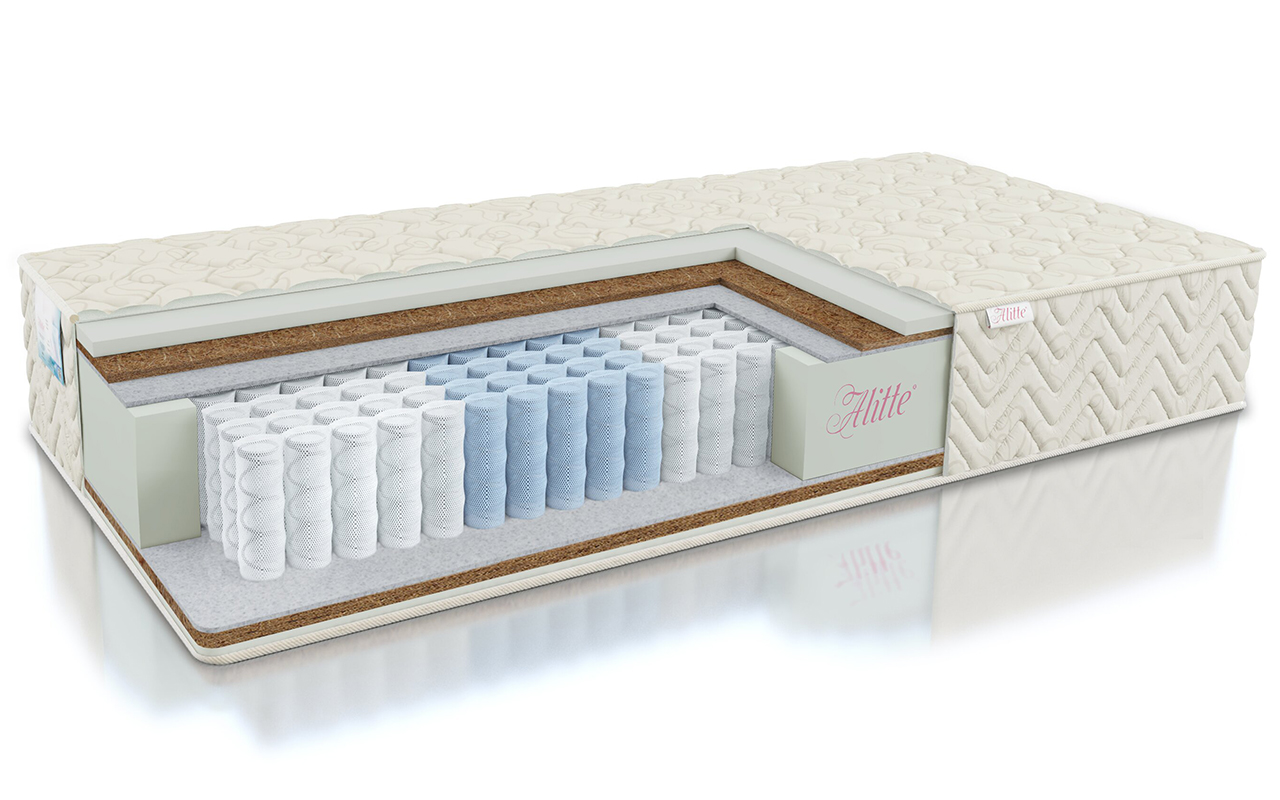 Alitte Classicus Durer TFK MH-20-K